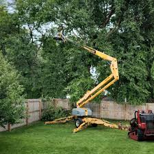 Best Sod Installation  in Salem, UT