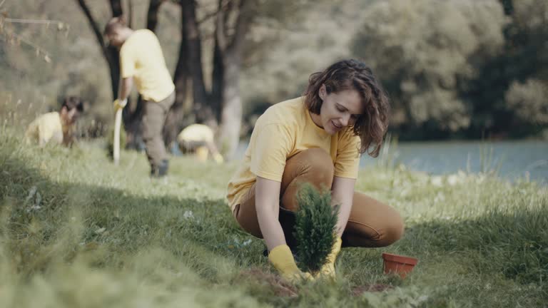 Best Tree and Shrub Care  in Salem, UT